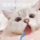 元气元气
