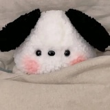 狗勾巴士