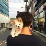 追梦路上有只猫