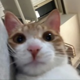 橘子吃多了拉稀