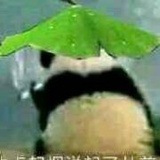 湛湛湛湛湛QAQ