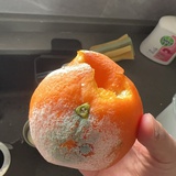 呵呵哒