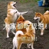 不吃罐头