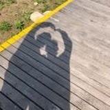 文