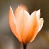 云.自在