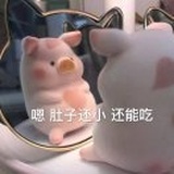 今天减肥了吗？