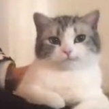 小平子