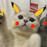理理