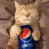 账号冻结中