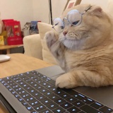 终于知道了
