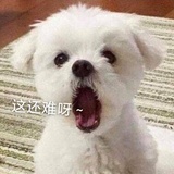 这还难呀