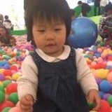 骏鑫达杨