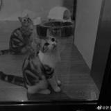 大运