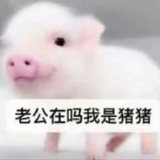 宋柏劳