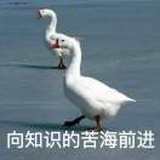 小度