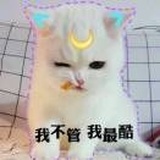 用户7492546810
