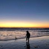 海上逐臭夫