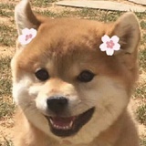 养乐多一点