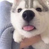 。。