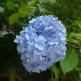 张瑞