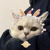 失忆