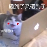 爱吃爱玩爱蹦迪