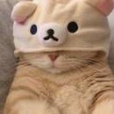 啊啊啊向往自由