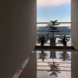 译林上海小分队