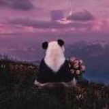 小羊羔