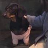 我是买菜的
