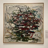 我家有个胖墩墩