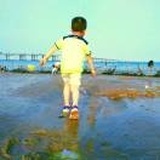 小砖头