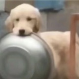 那好吧