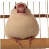 田小熊
