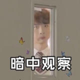 嗑cp我是认真的