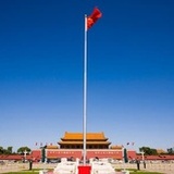 绿茶包
