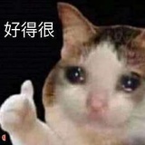 蹬卵划水