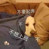 偶尔热心网友