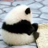 暖春不开心