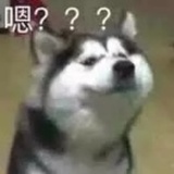 阿白