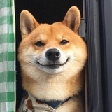 可乐（减肥中）