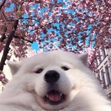 开心最重要