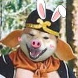 崔胜咸肉