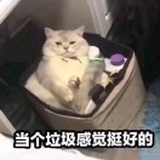 玩得开心