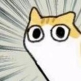 赵决明