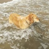 社死案发现场