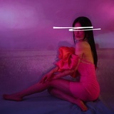 小菠萝崽