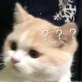 小圈圈耶