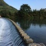 悟入其图
