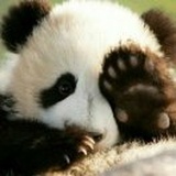 晓